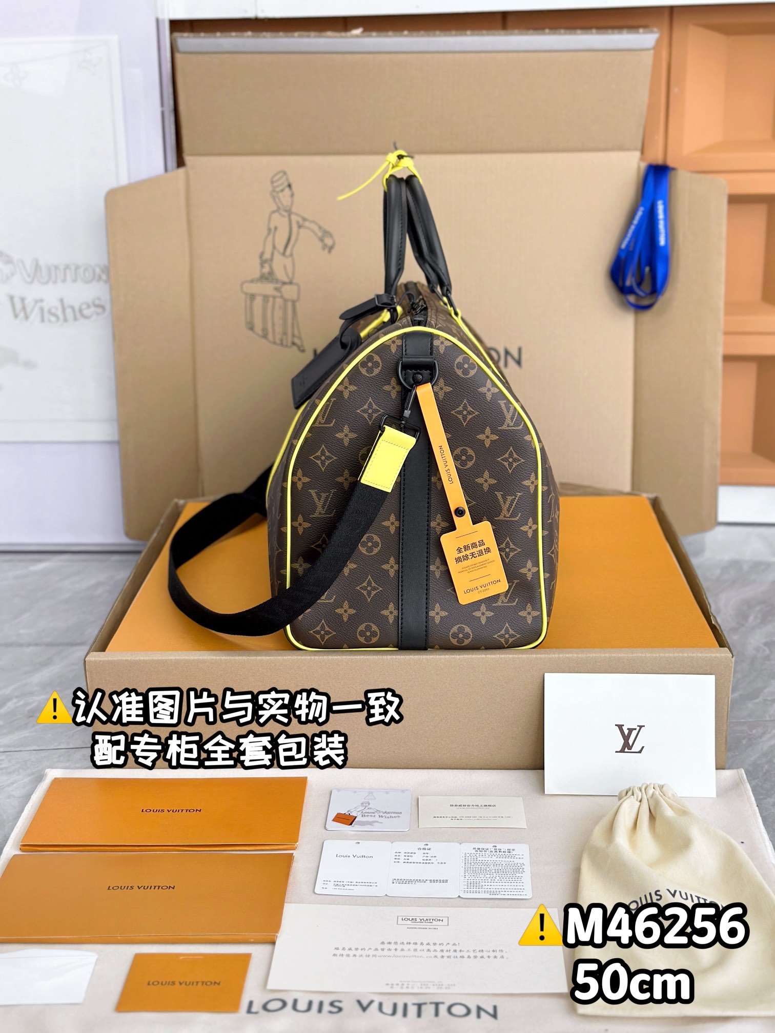 LV Travel Bags